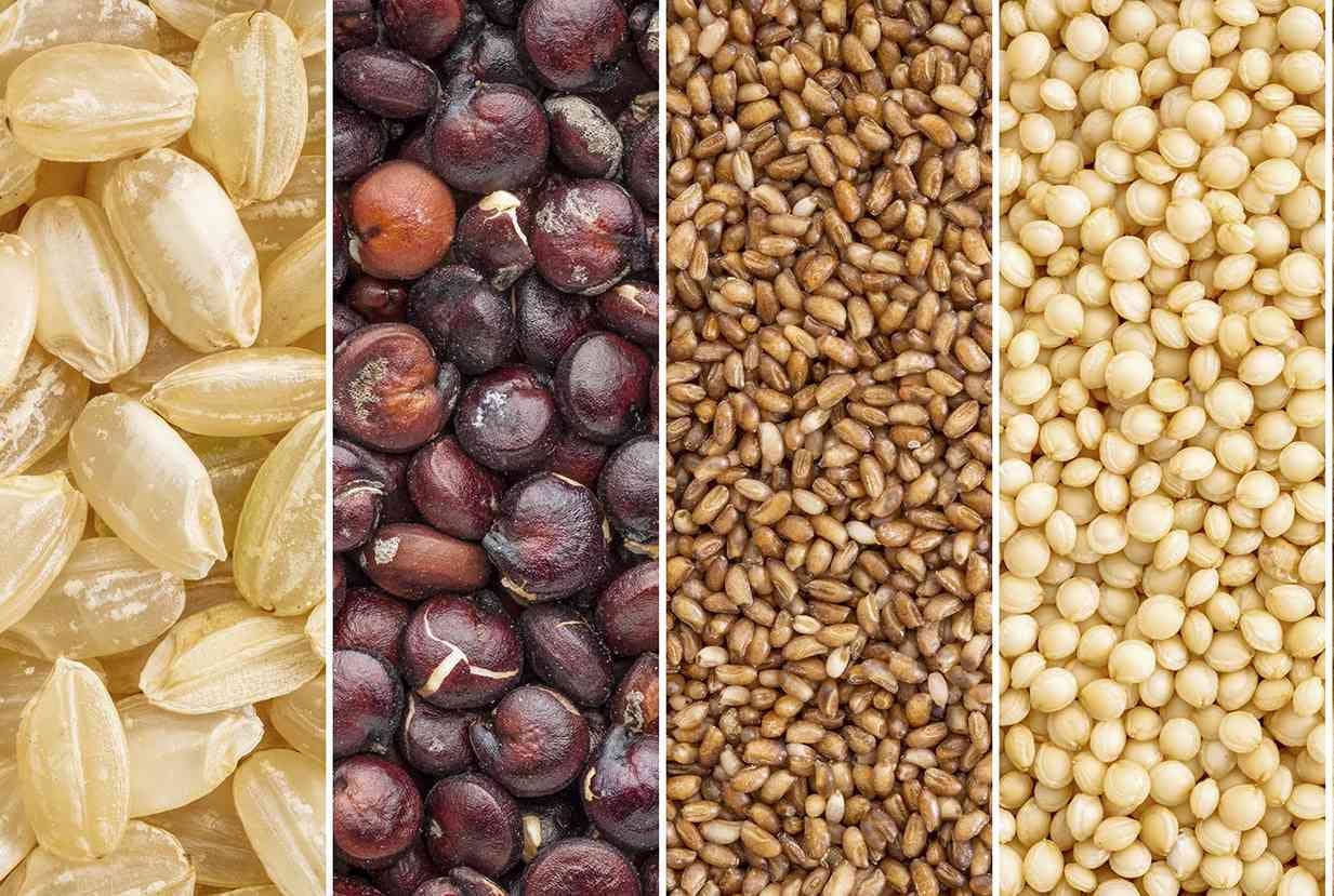 <p>gluten free grains collection (brown rice, quinoa, teff, amaranth, buckwheat, kaniwa,millet, sorghum) &#8211; a collage image</p>

