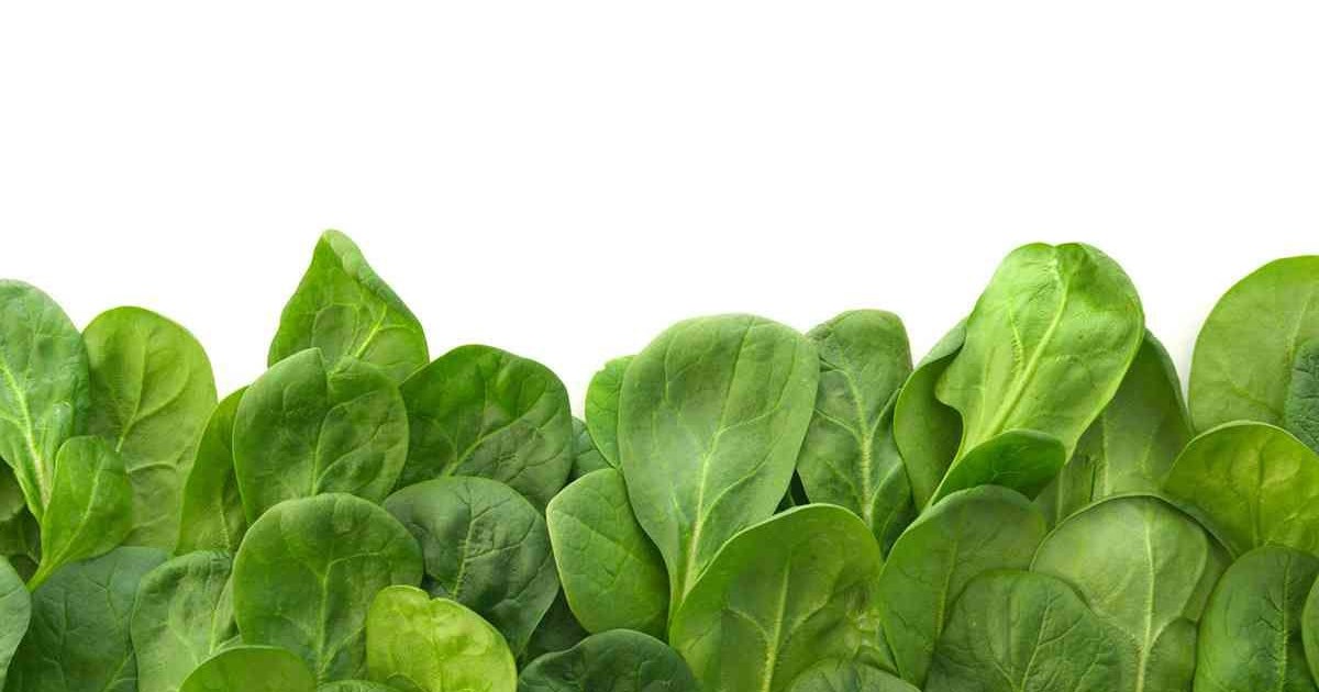 Mixad spenat för maxad mängd antioxidant