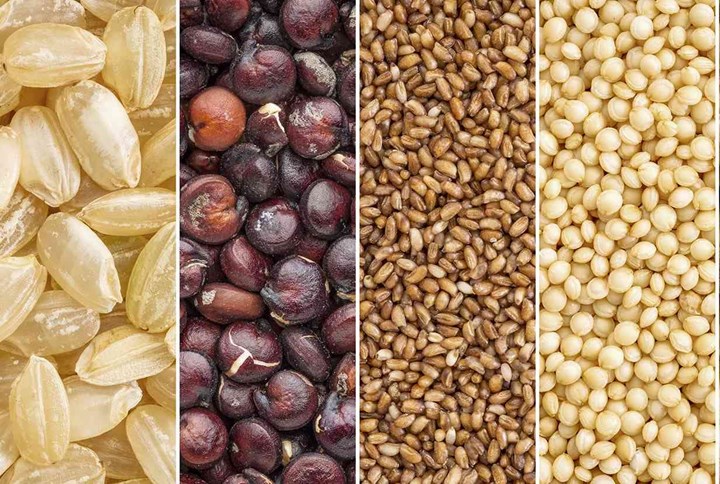 gluten free grains collection (brown rice, quinoa, teff, amaranth, buckwheat, kaniwa,millet, sorghum) – a collage image