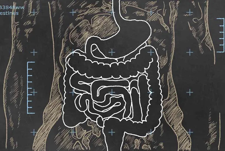 X-ray of Intestines sketched on a Blackboard
