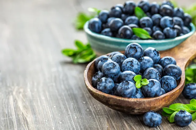 AdobeStock_281699321