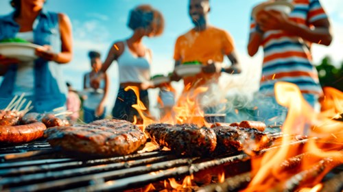 AdobeStock_798196498