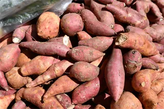 Sötpotatis