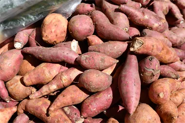 Sötpotatis